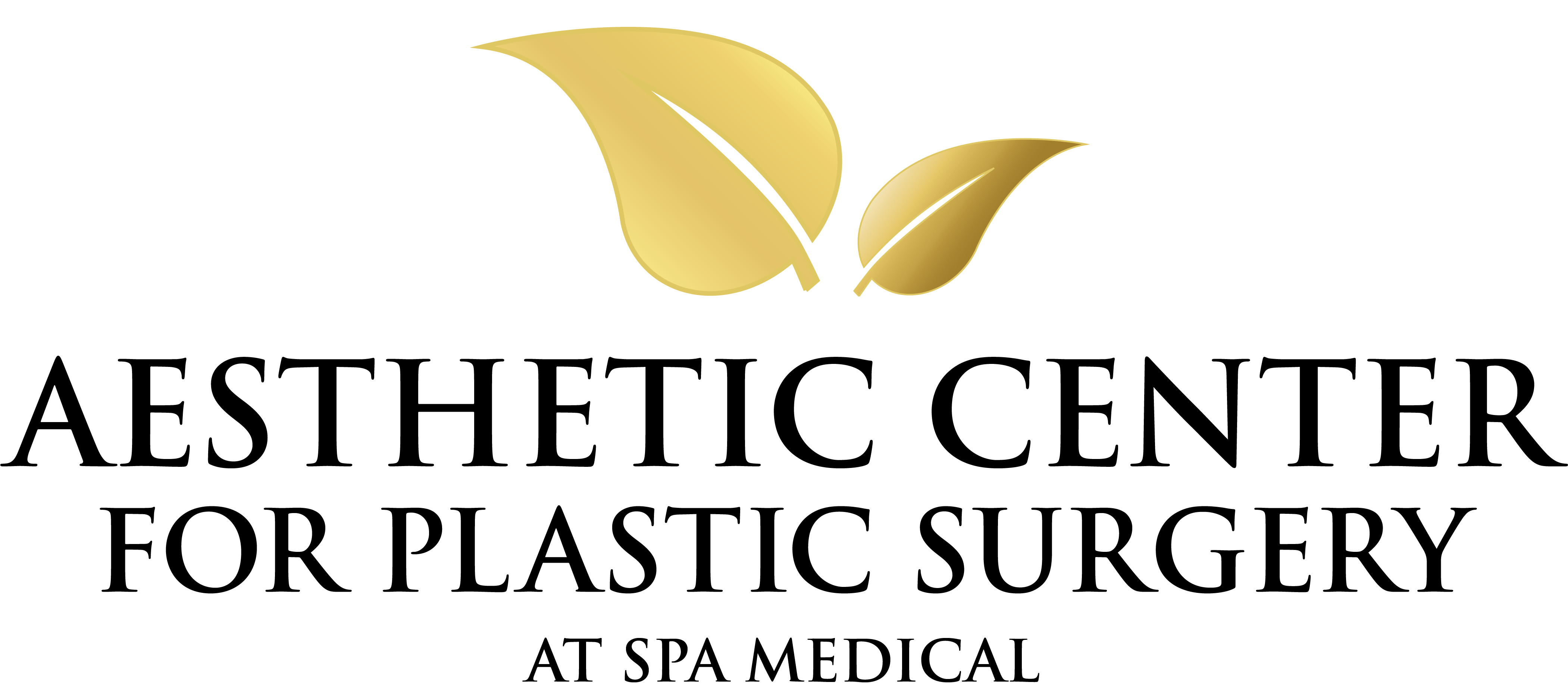 ACPS_logo - metallic gold and black PNG